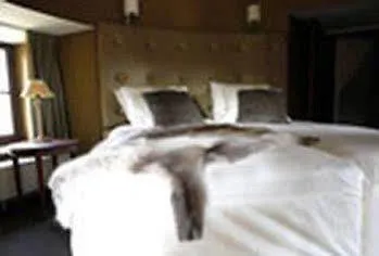 Chateau فندق Wittem